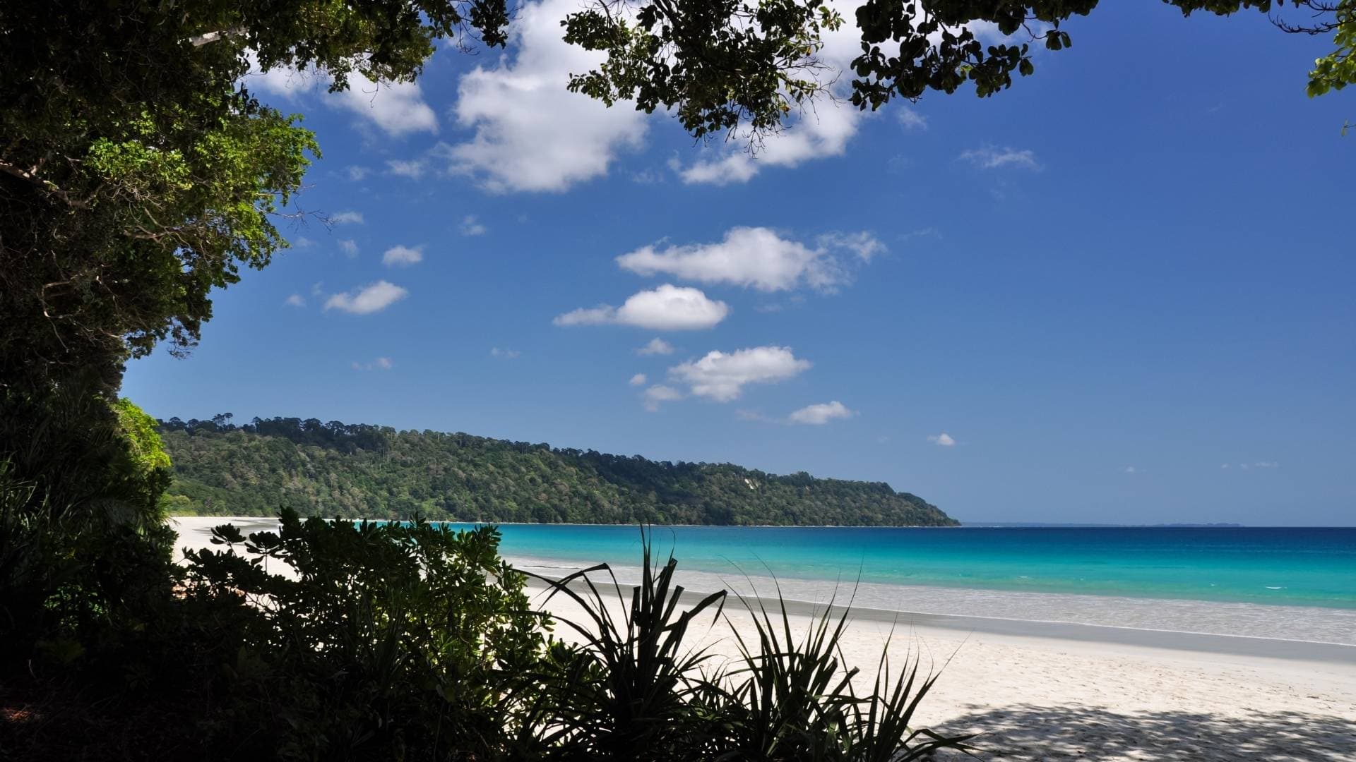 radhanagar_beach_andaman_fsedtj