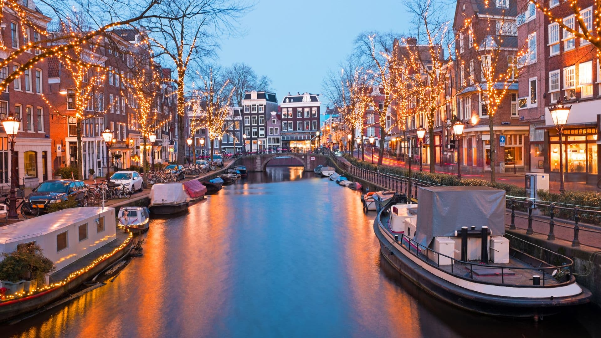 26_pp9nl9