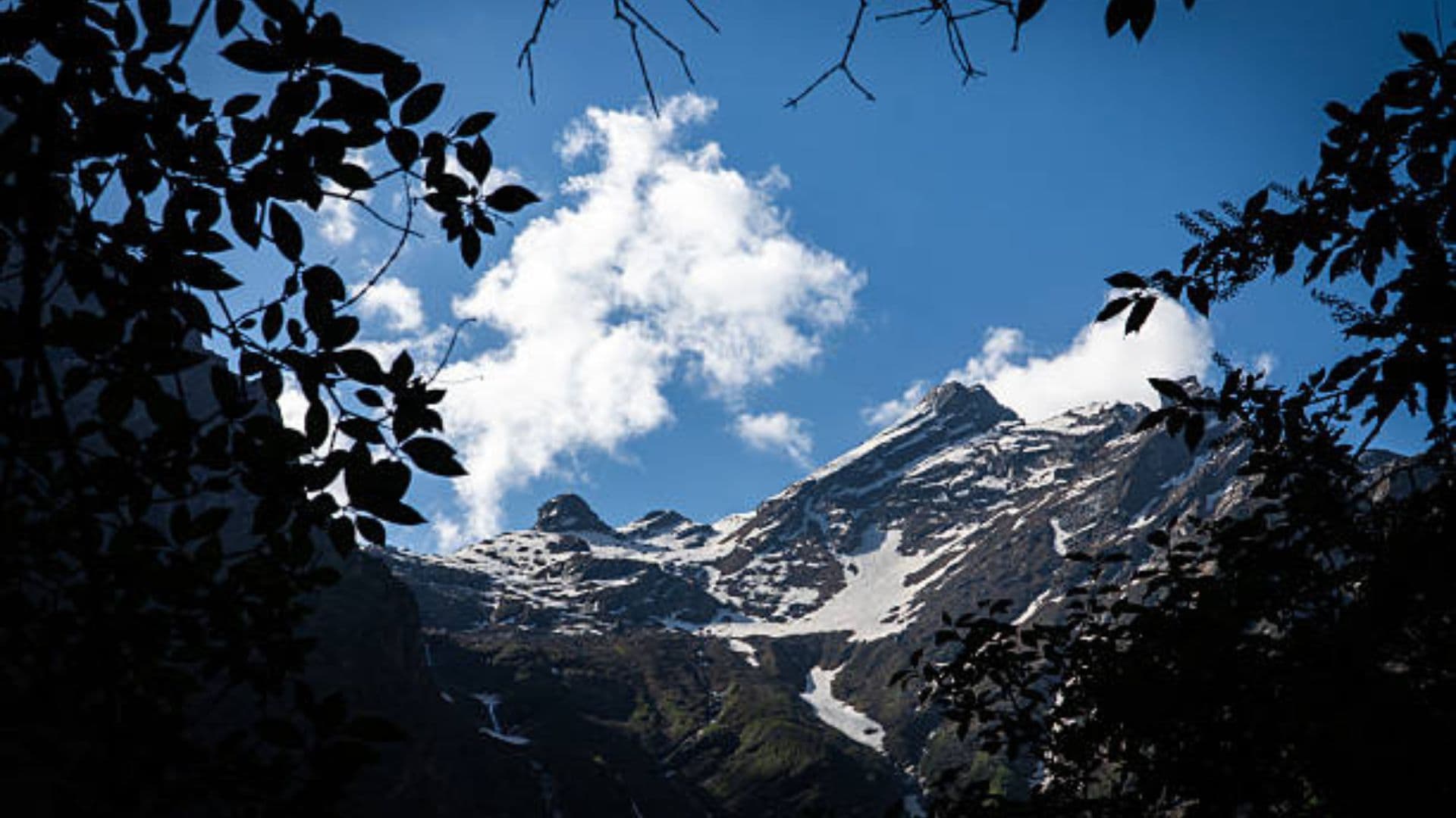 Valley of Flowers: A Complete Travel Guide to India's Most Beautiful Monsoon Trek